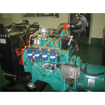 Natural Gas Generator Set (BCX30)